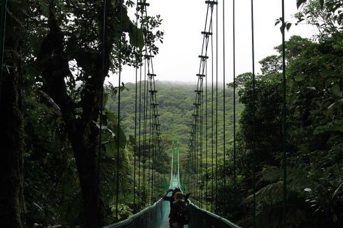 Solo Travel in Monteverde