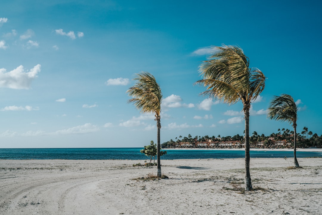 Palm - Eagle Beach