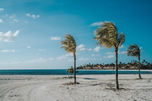 Palm - Eagle Beach Travel alone 
