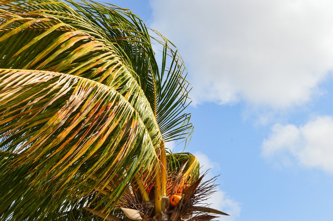 Oranjestad