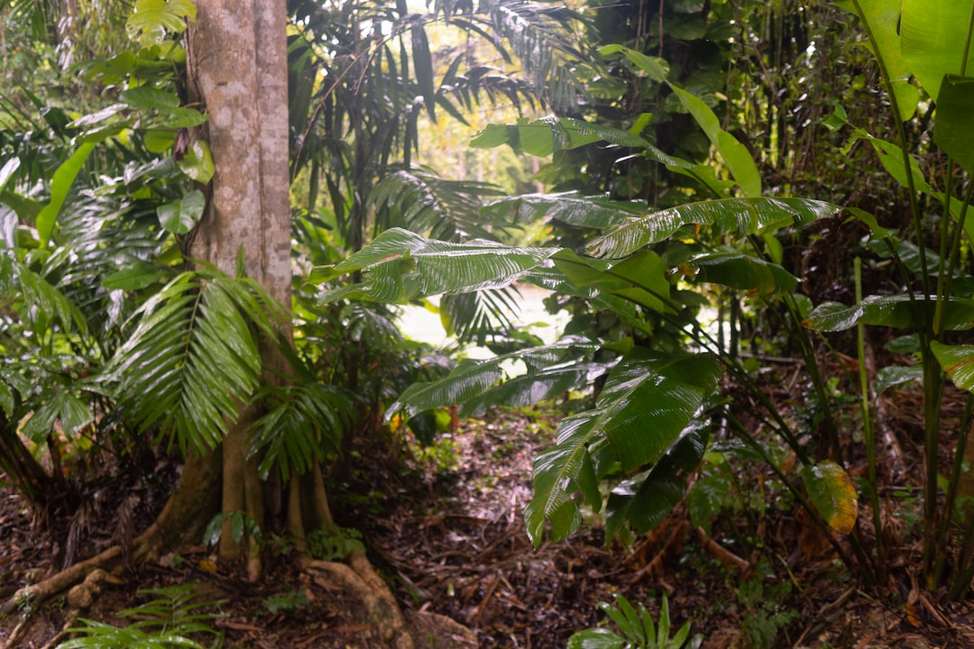Is Trelawny safe?