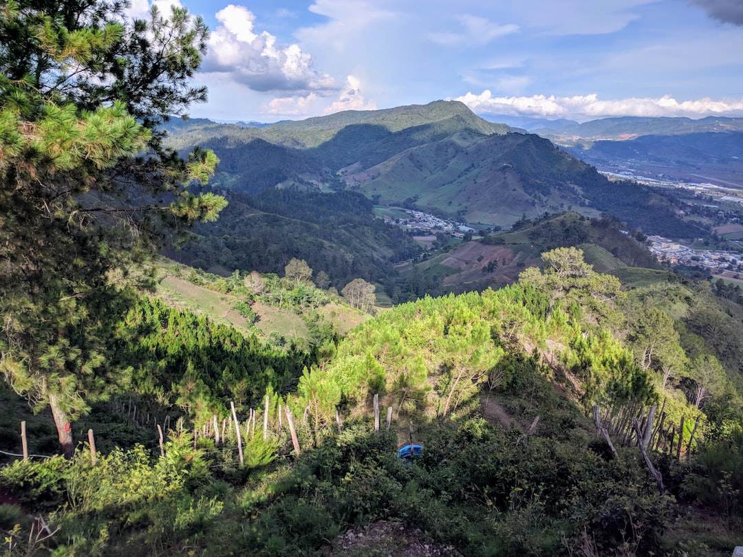 Constanza