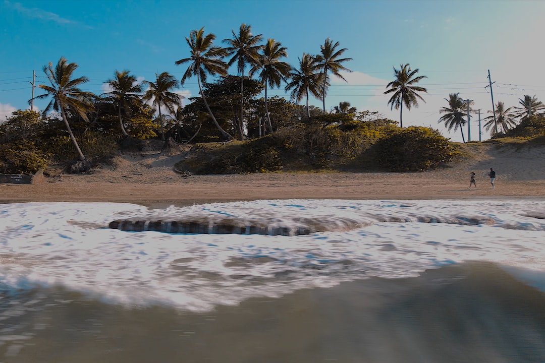 Hospitality exchange in Puerto Plata