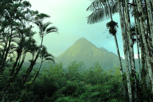 Solo Travel in Martinique