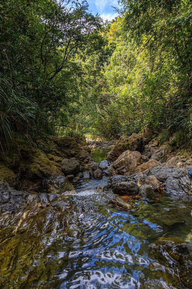 Utuado