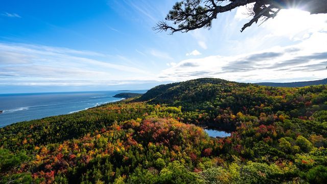 Solo Female Travel in Acadia National Park