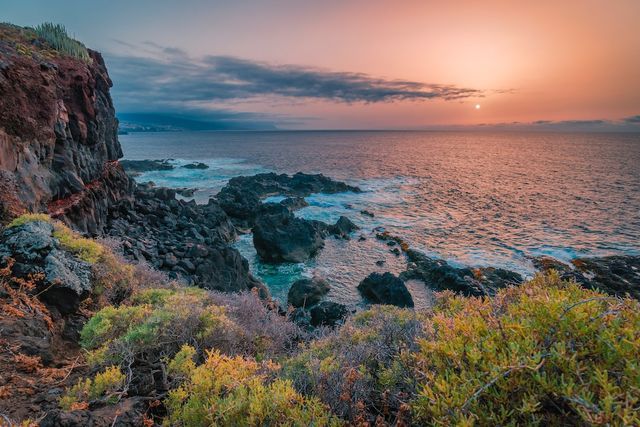 travel department solo tenerife