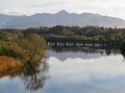 Hospitality exchange in Killorglin