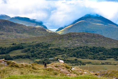 Solo Travel in Killarney