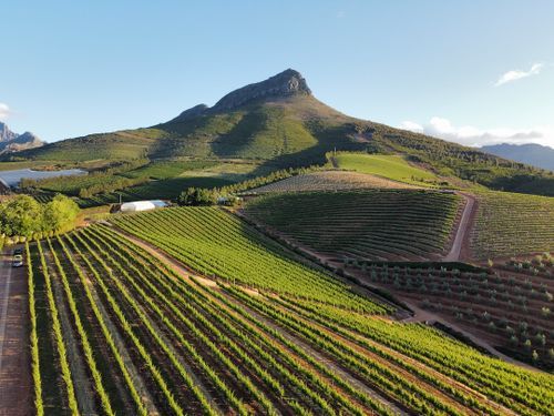 Couch Surfing in Stellenbosch