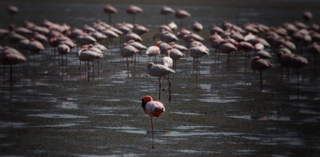 Is Walvis Bay safe?