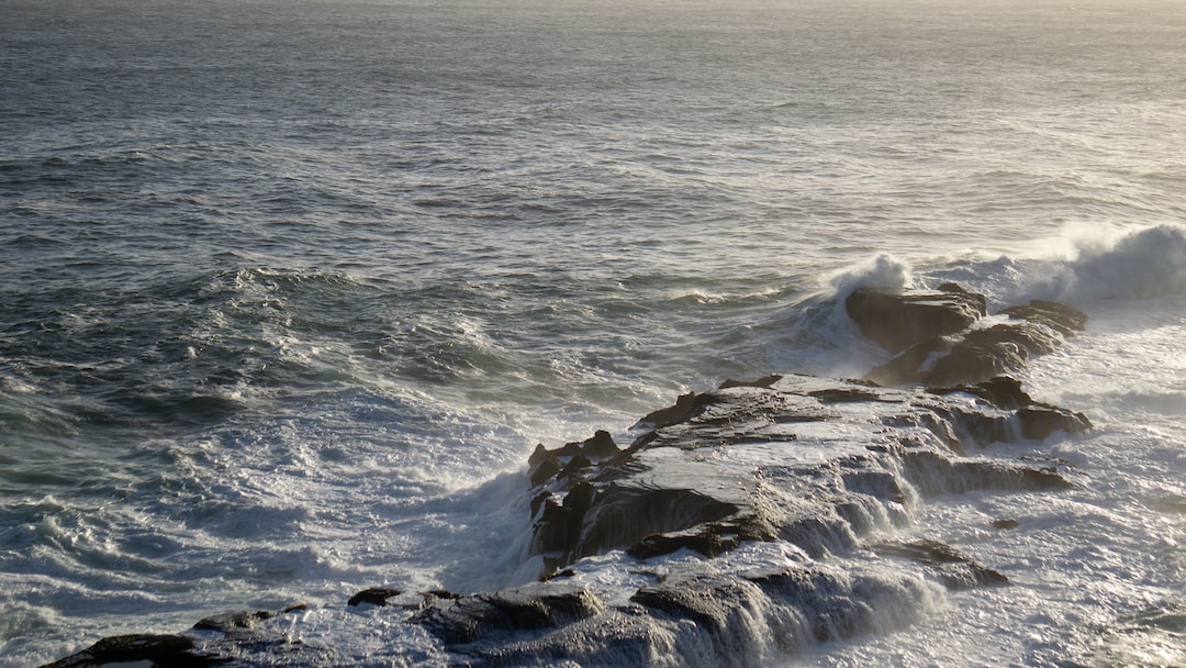 Hospitality exchange in Plettenberg Bay