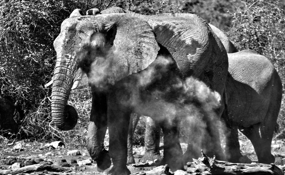 Is Etosha National Park safe?