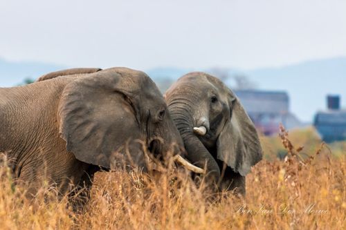 Solo Travel in Kariba