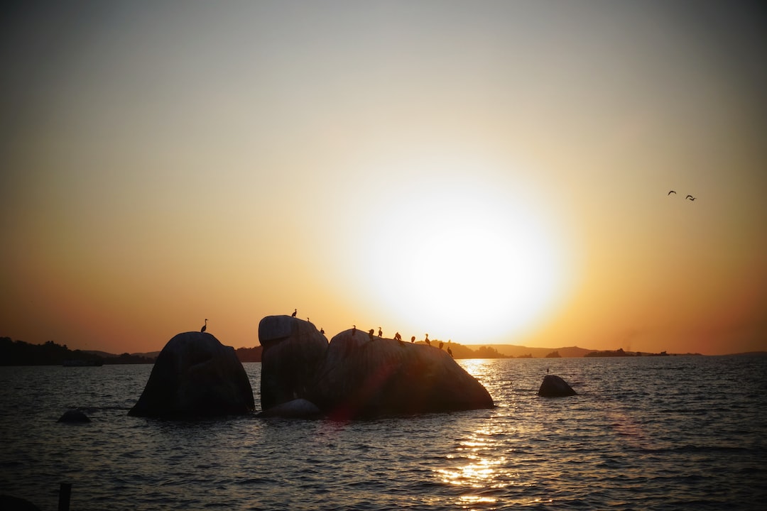 Hospitality exchange in Mwanza