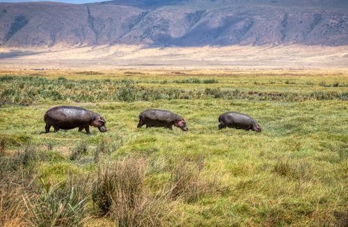 Is Ngorongoro safe?