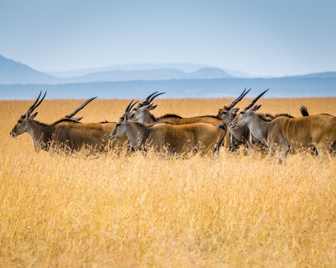 Hospitality exchange in Narok