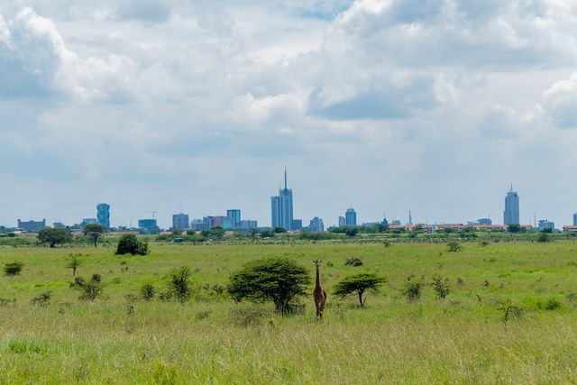 Solo Female Travel in Nairobi