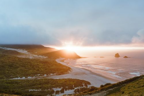 Hospitality exchange in Dunedin