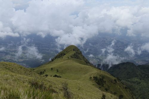 Crime in Magelang