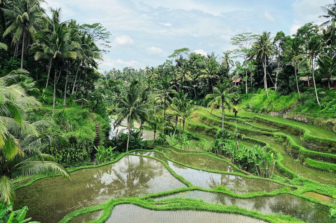 Hospitality exchange in Ubud