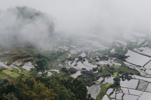 Tana Toraja