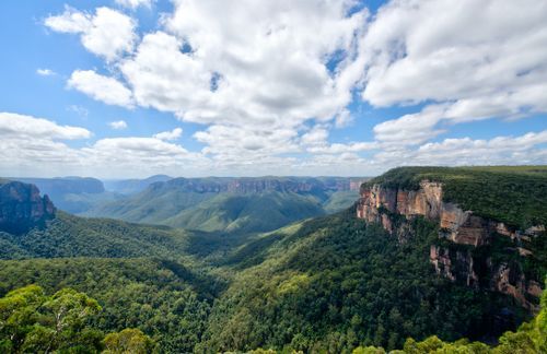 Crime in Blue Mountains