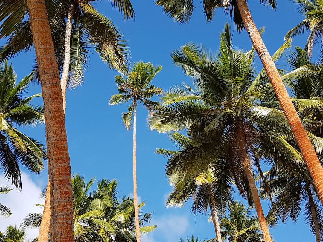 Is Labasa safe?