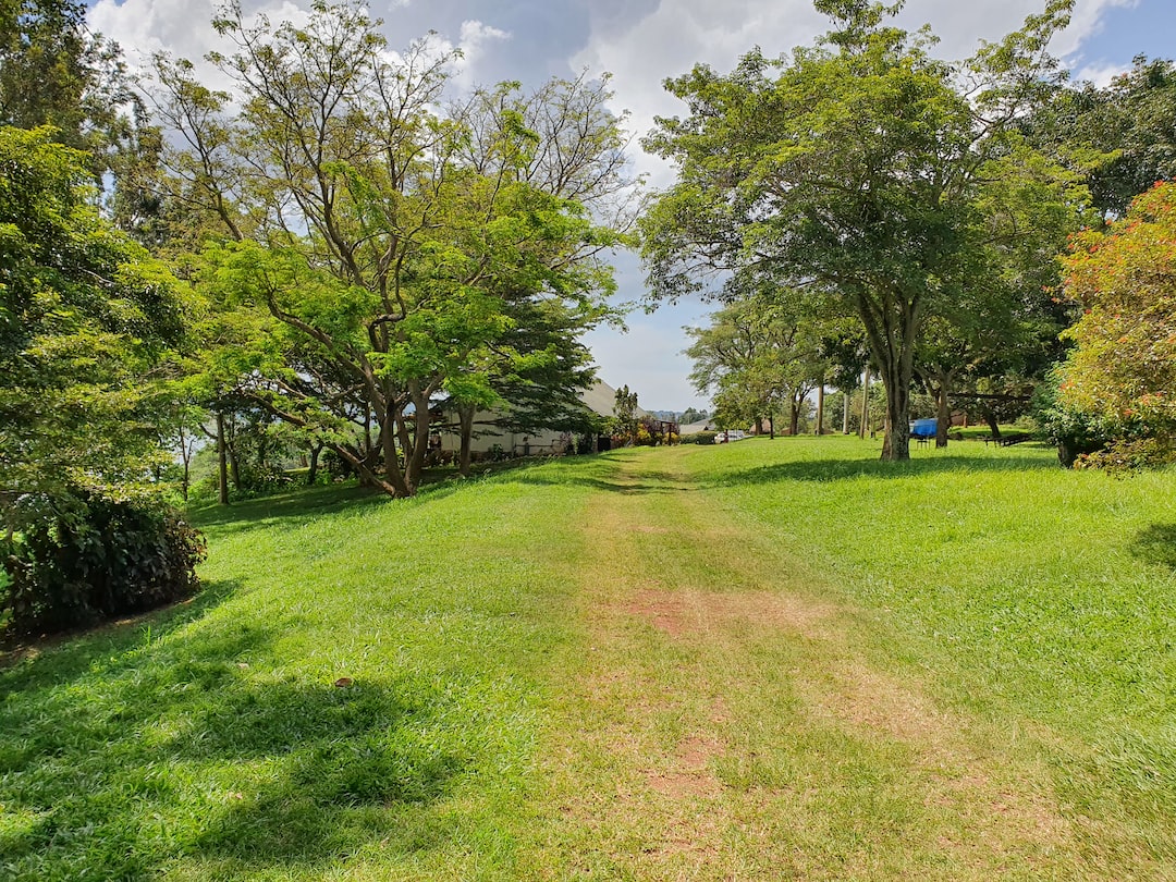 Is Jinja safe?