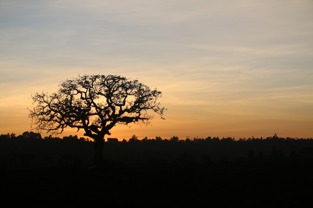 Is Eldoret safe?