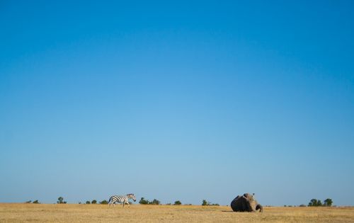 Solo Travel in Nanyuki