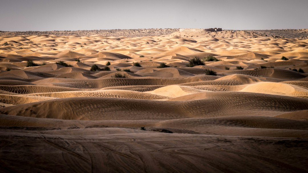 Ksar Ghilane
