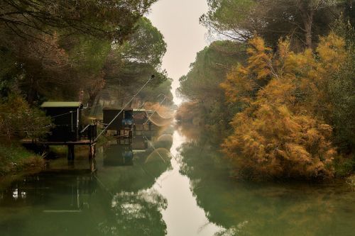 Cervia