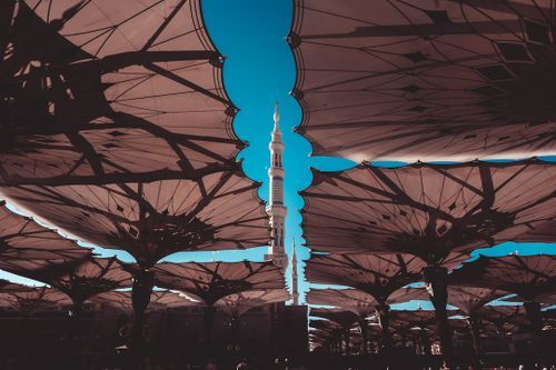 Solo Travel in Medina