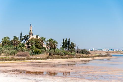 Solo Travel in Larnaca