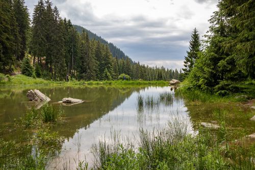 Smolyan