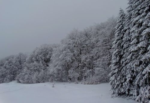 Gabrovo