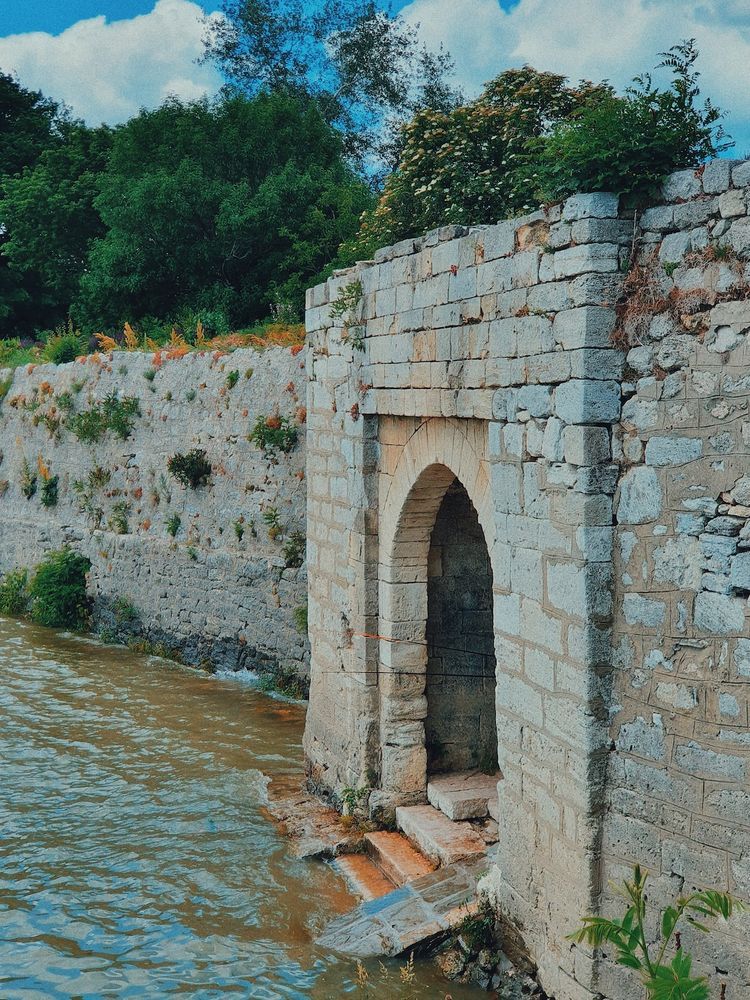 Vidin
