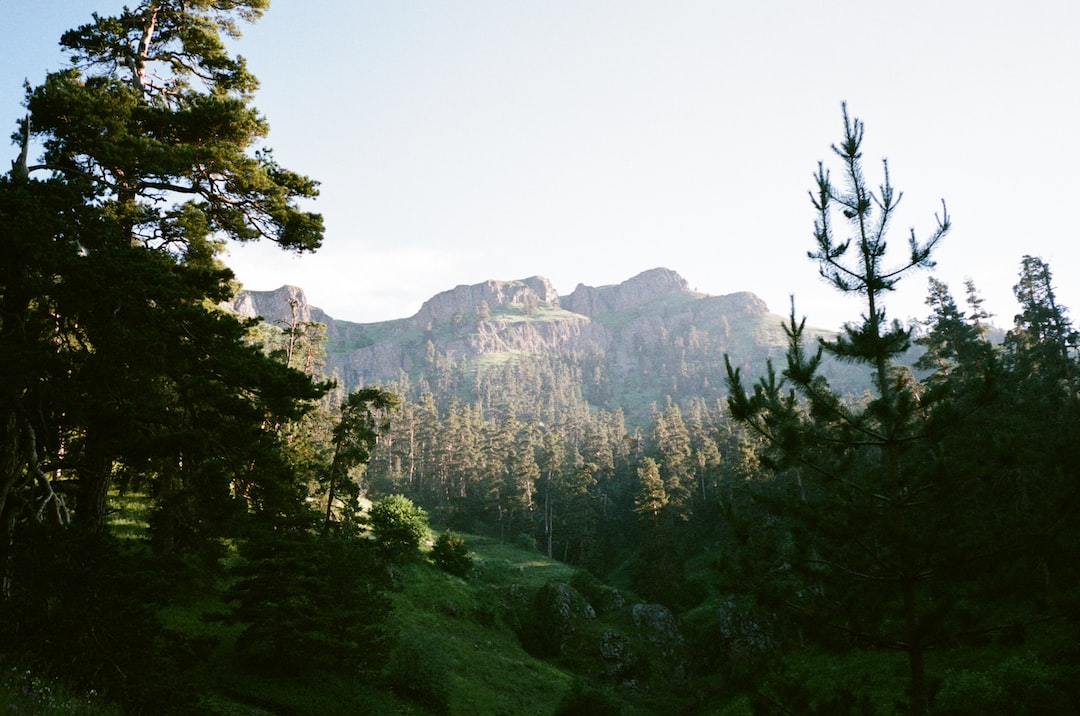 Hospitality exchange in Borjomi