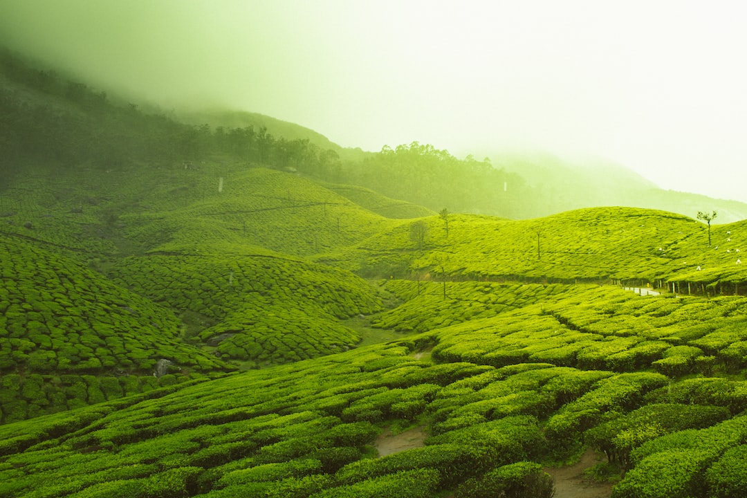 Is Munnar safe?