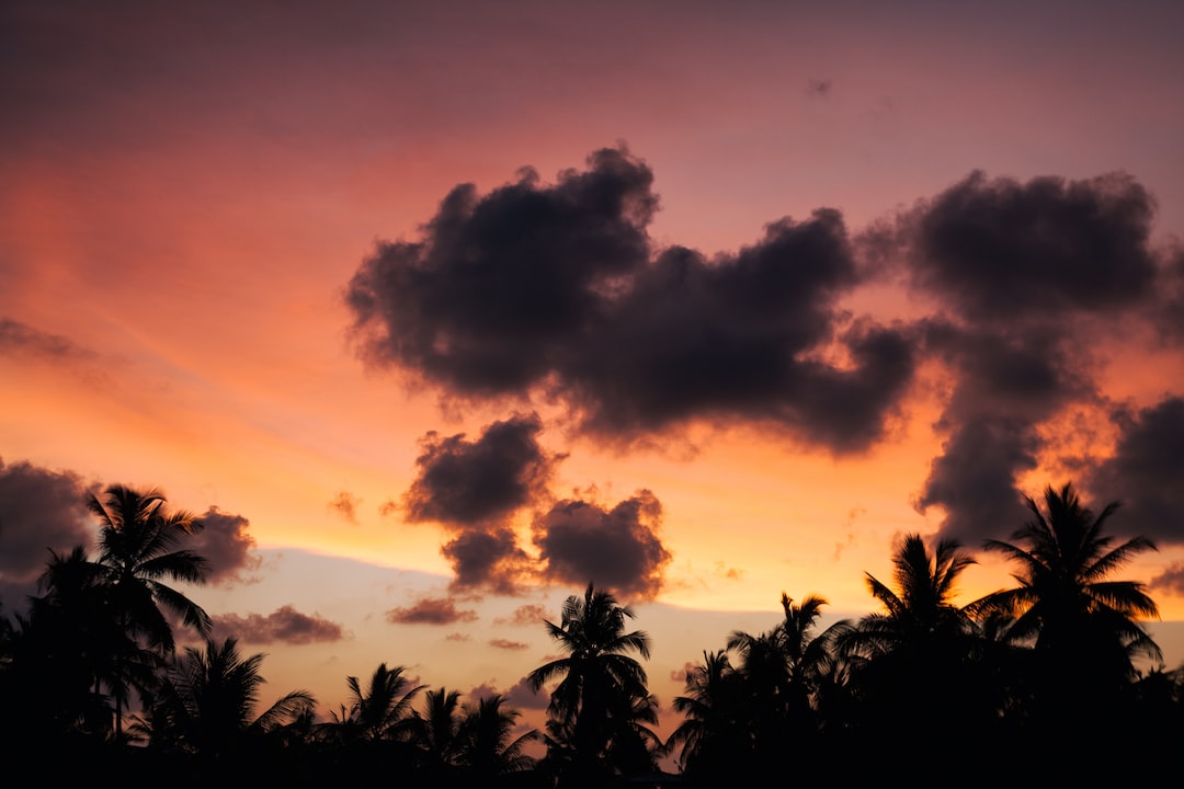 Hospitality exchange in Unawatuna