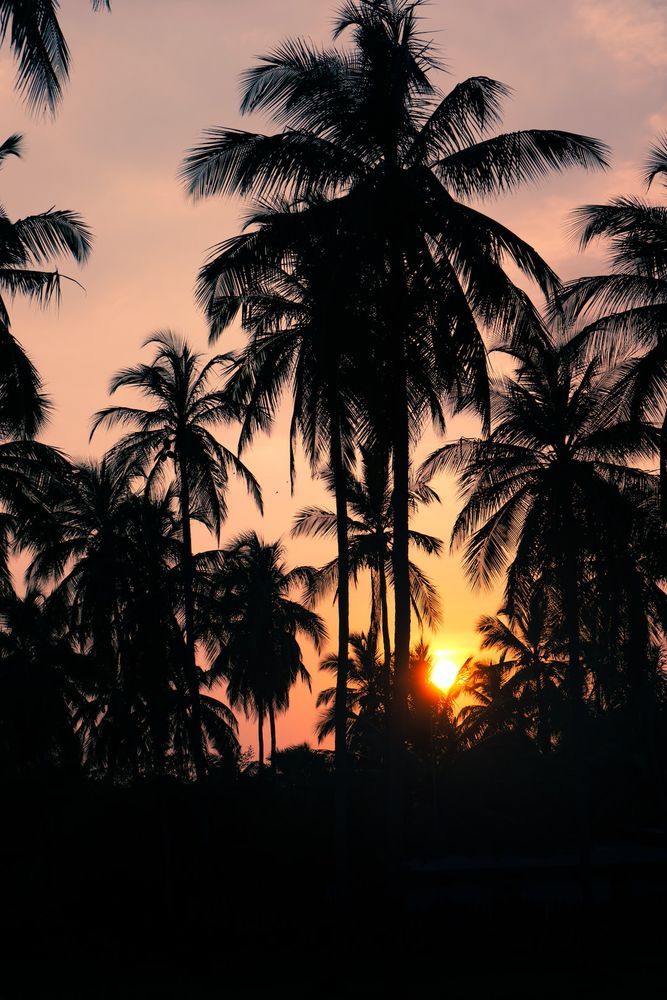 Kalpitiya