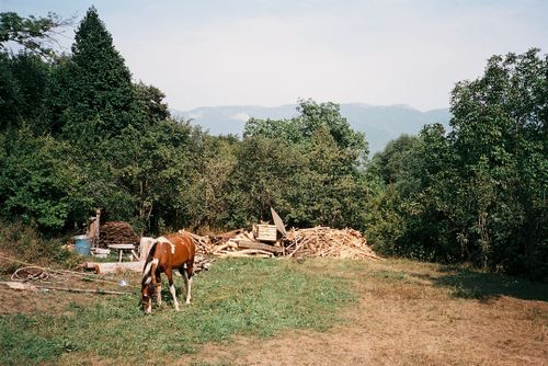 Solo Travel in Ijevan