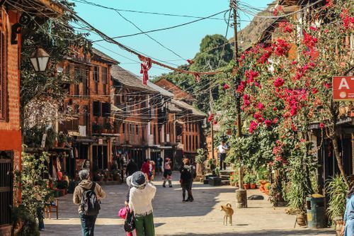 Solo Travel in Bandipur