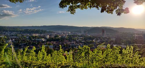 Couch Surfing in Winterthur