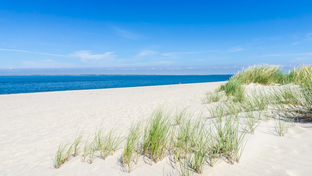 Sylt