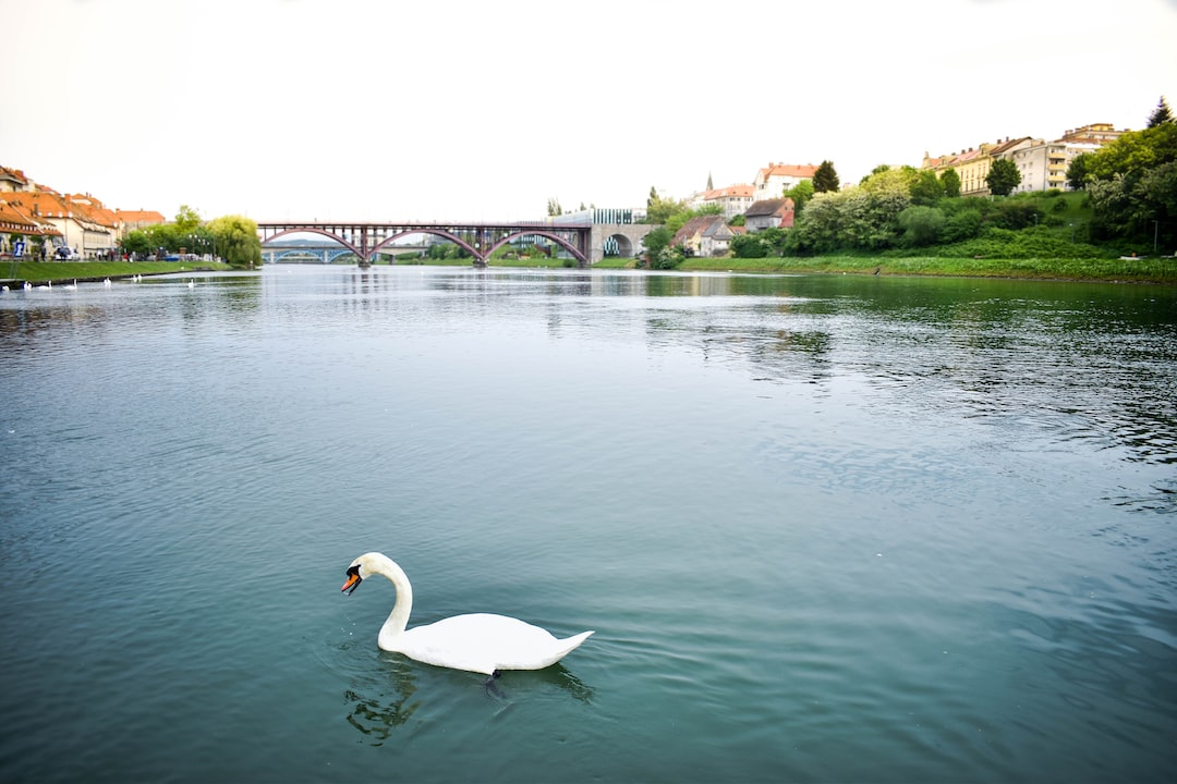 Hospitality exchange in Maribor