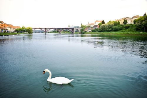 Solo Travel in Maribor