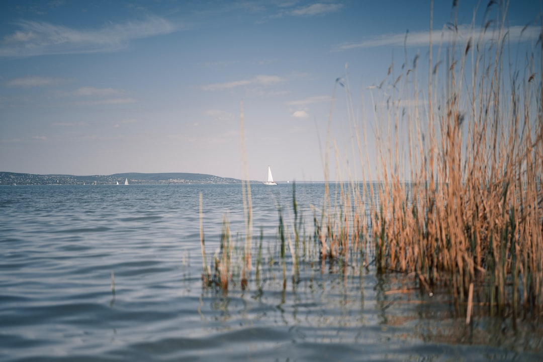 Hospitality exchange in Balatonfured