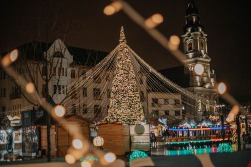 Crime in Oradea